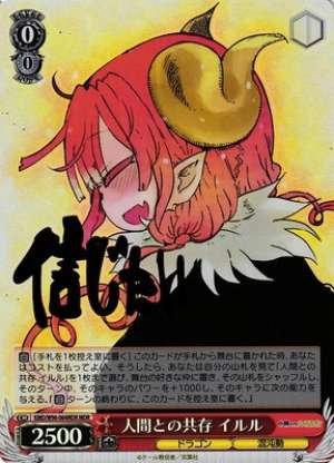 Ilulu, Coexistence with Humans