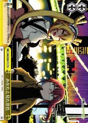 The Scenery I Saw with You