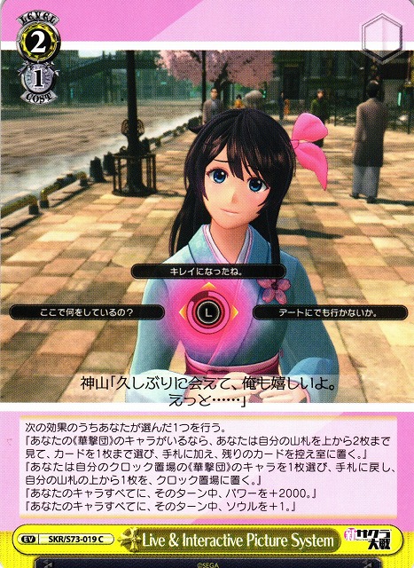 Live & Interactive Picture System / Live & Interactive Picture System