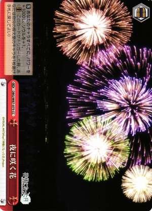 Flowers Blooming at Night