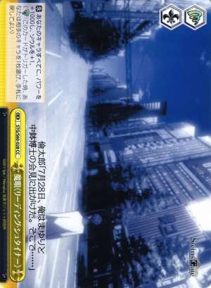 Magical Eyes "Reading Steiner"