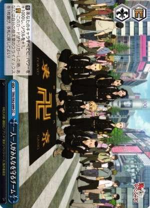 Team Which Members Protect the Whole Individually