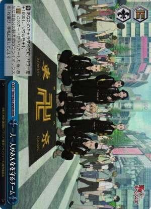 Team Which Members Protect the Whole Individually