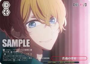 Ordinary Happiness OSK