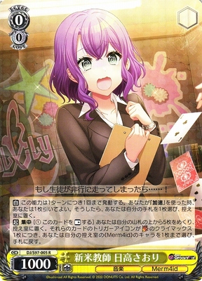 Saori Hidaka, Rookie Teacher