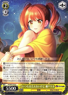 Rika Seto, Can't Say It Usually