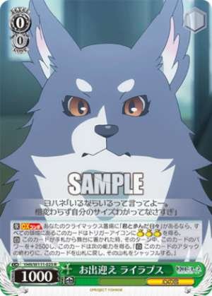 Welcome Laylapse YHN