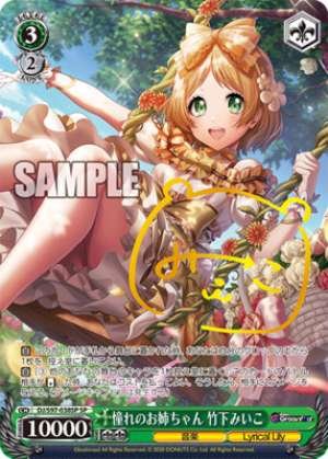 Miiko Takeshita, Admiring Big Sister