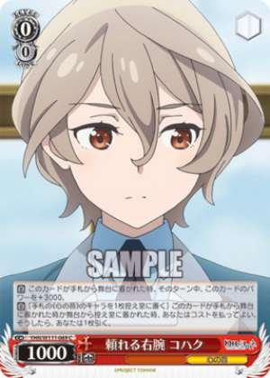 Reliable right-hand man, Kohaku YHN