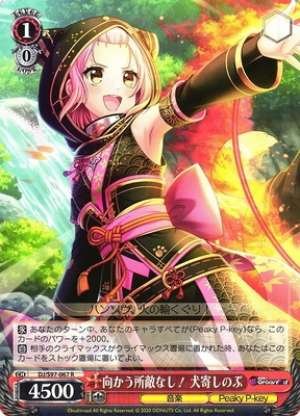 Shinobu Inuyose, No One is Standing in My Way!