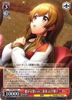 Kyoko Yamate, Duet of Connected Feelings