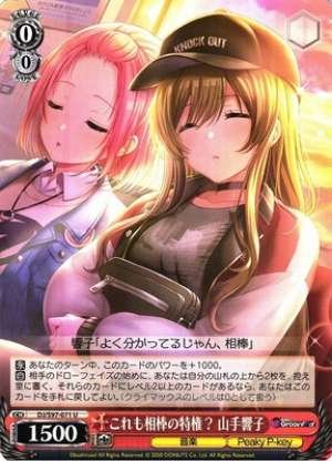 Kyoko Yamate, Privilege of the Partner Too?