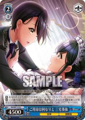 Aoi Miyake, At Your Service