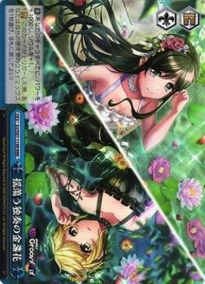 Wavering Solo Marigold