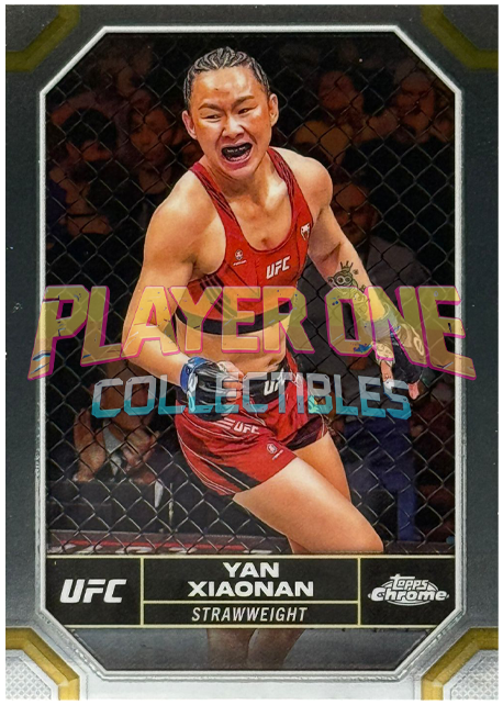 Yan Xiaonan