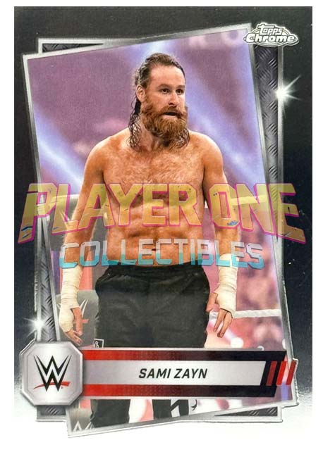 Sami Zayn - Raw