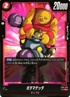 Bota Magetta