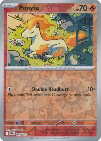 Ponyta