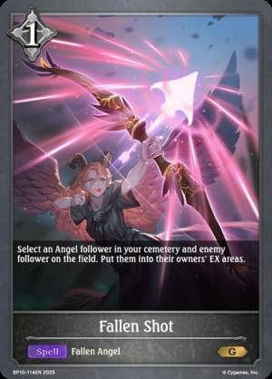 Fallen Shot