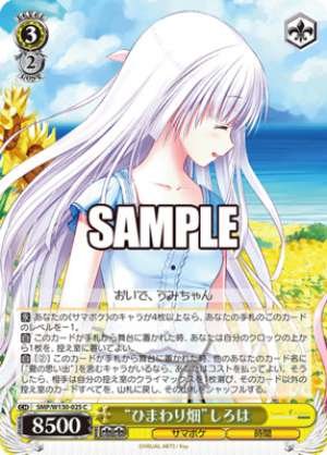 "Sunflower Field" Shiroha