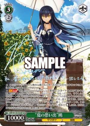 "Summer Memories" Seagull