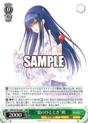 "Summer Moment" Seagull