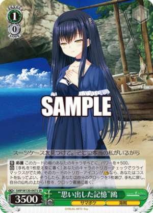 "Remembered Memory" Seagull