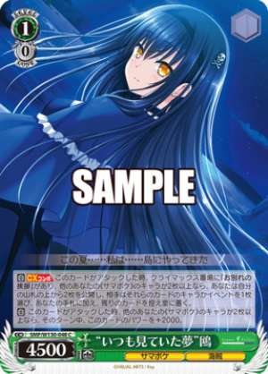 "The dream I always had" Seagull