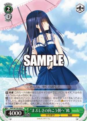 "Beyond the Glare" Seagull