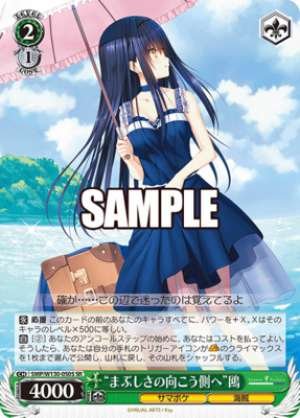 "Beyond the Glare" Seagull