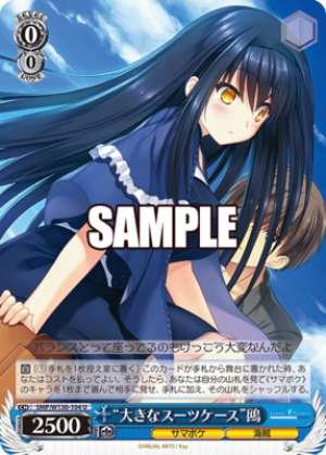 "Big Suitcase" Seagull