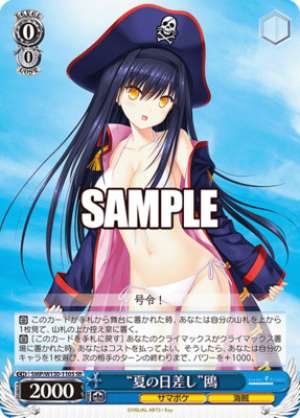 "Summer Sunshine" Seagull