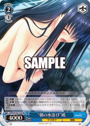 "Morning bath" seagull