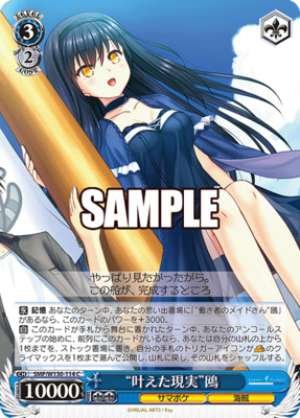 "Reality Comes True" Seagull