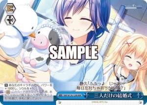 wedding for just three people