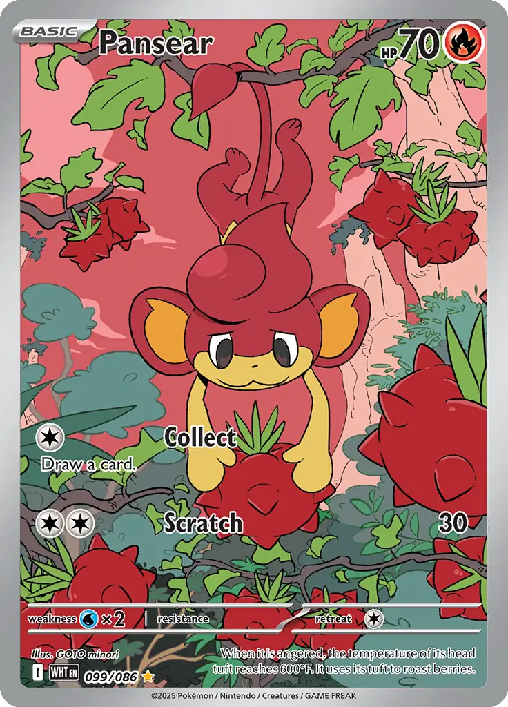 Pansear