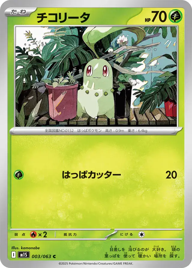 Chikorita