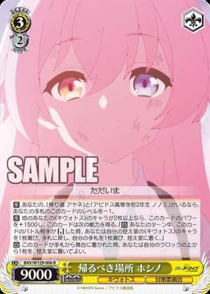 The Place to Return Hoshino