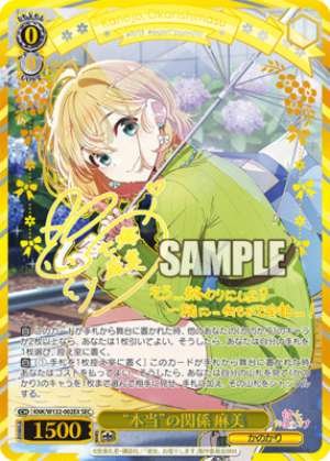 The True Relationship Asami