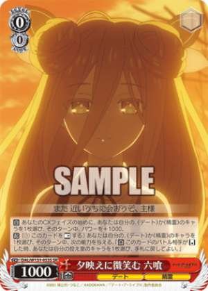 Smiling in the evening glow Rokku