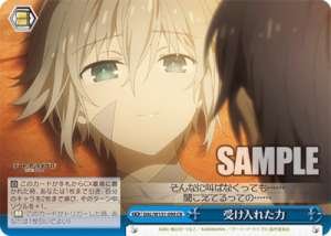 The power I accepted