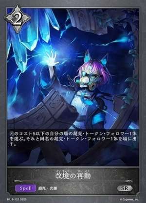 Boundary Realignment