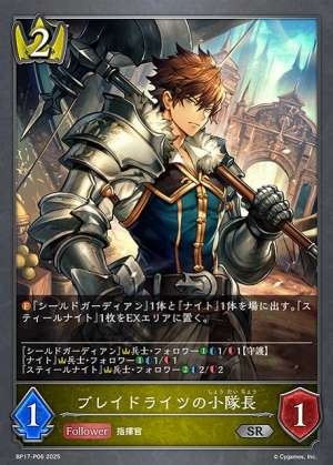 Squad Leader of the Braid Lights