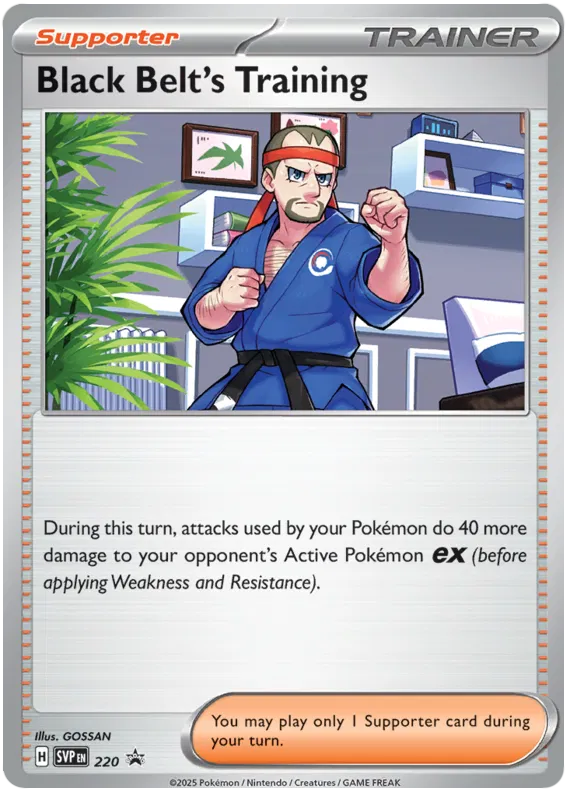 Black Belt's Training