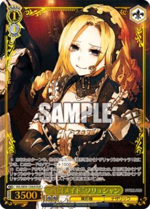 Combat Maid Solution