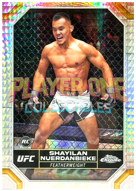 Shayilan Nuerdanbieke - PRISM REFRACTOR