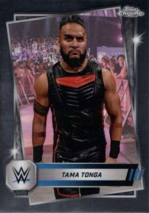 Tama Tonga - Smackdown