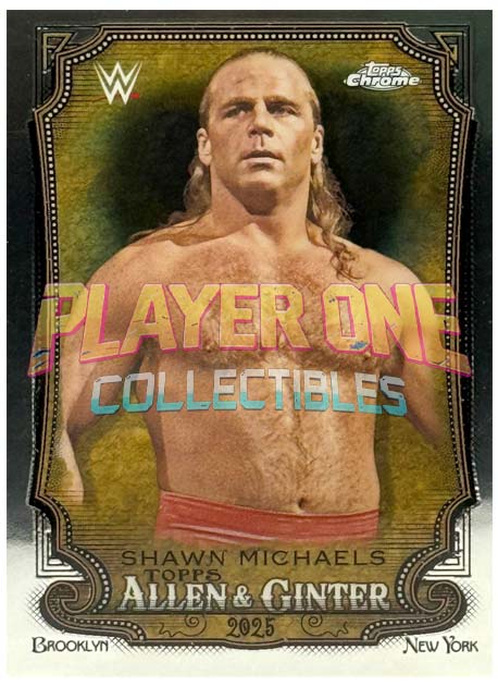 Shawn Michaels - Legend