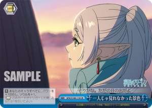 Scenery I couldn\'t see alone SFN