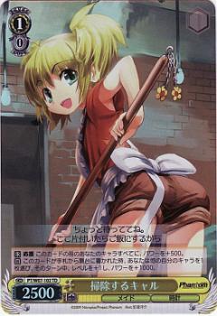 Cleaning Cal